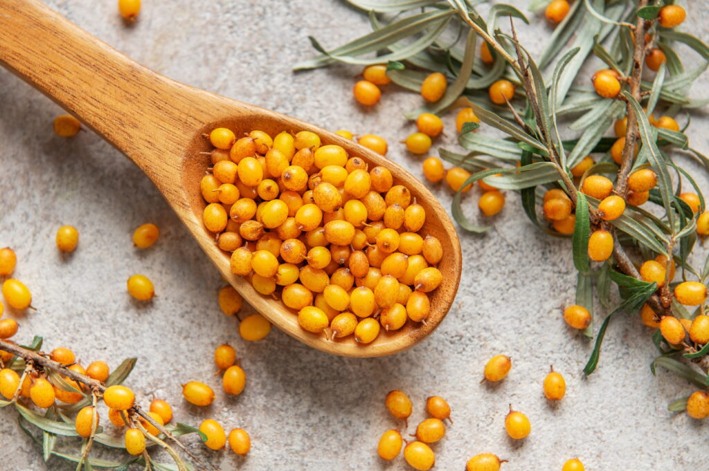 サジーで痩せるって本当？ダイエット効果・口コミ・注意点まとめ